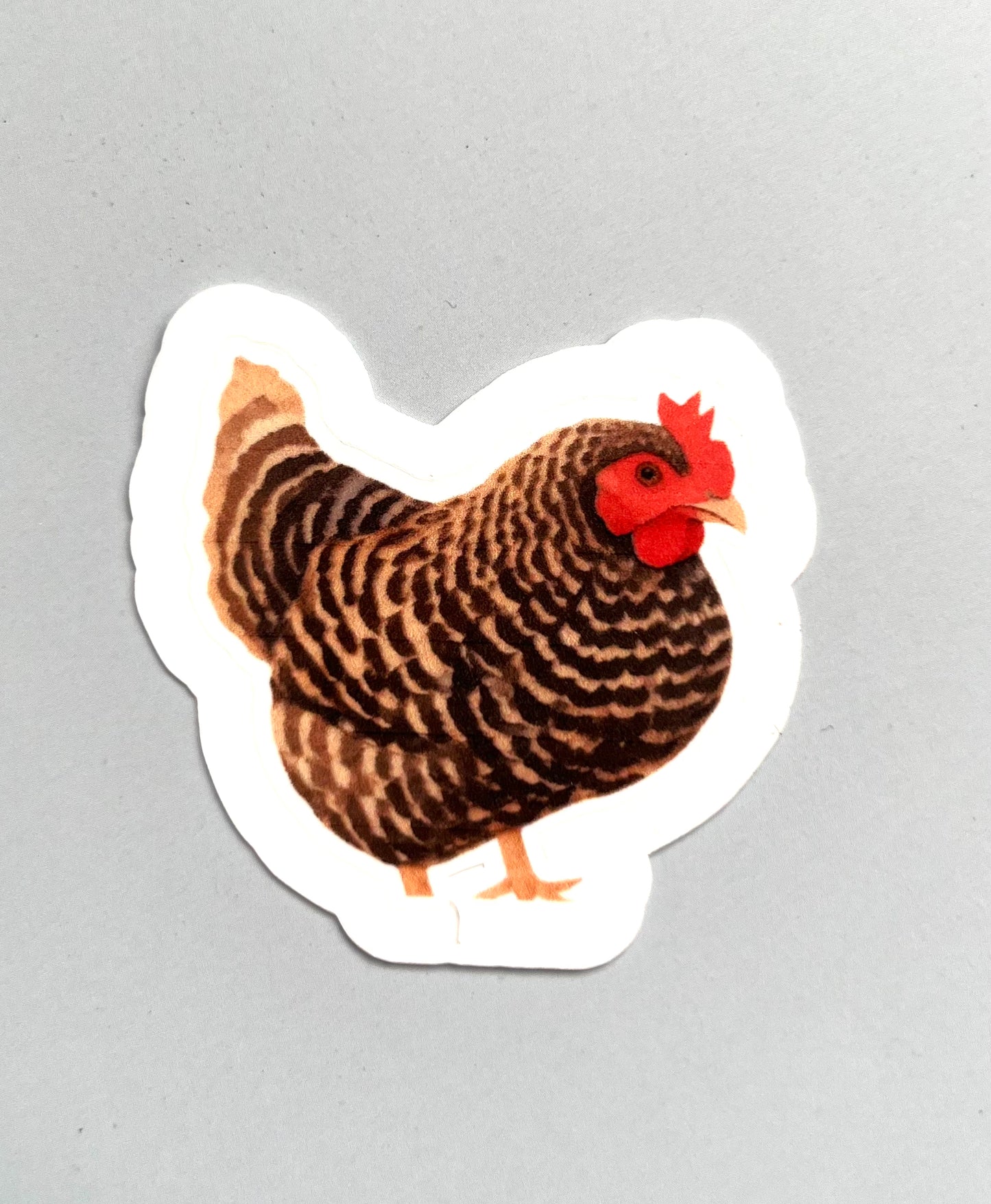 FARM ANIMALS | STICKER COLLECTION