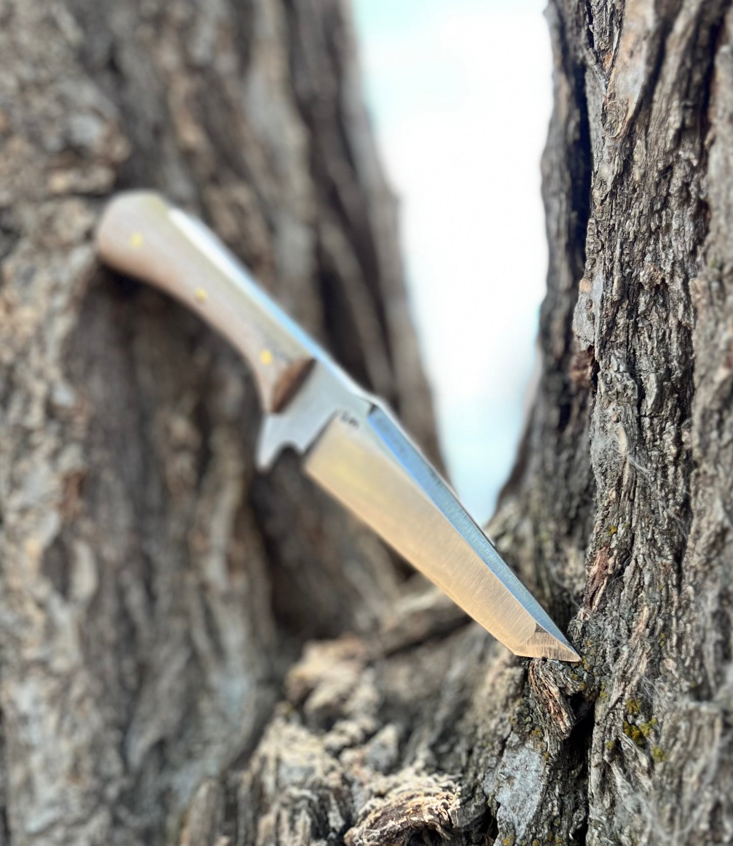 THE FAST STRIKE | Fixed Blade Knife - Style #1