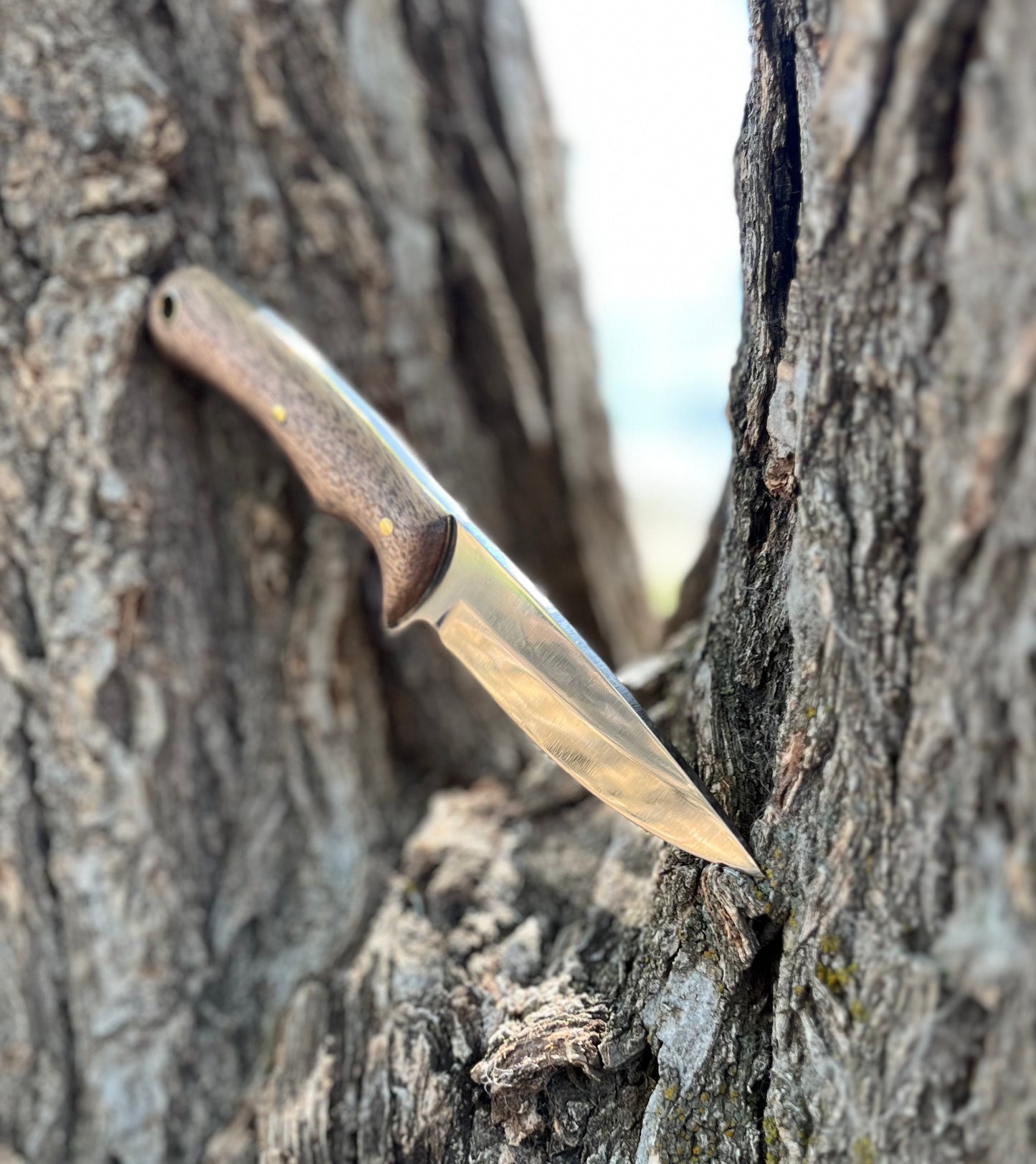 THE RANCHER | Fixed Blade Knife - Style #3 (African Mahogany)